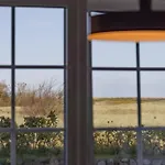 Möwe