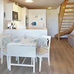 Möwe