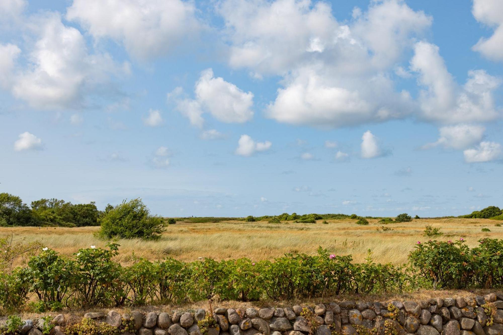 Möwe Ferienhaus List auf Sylt