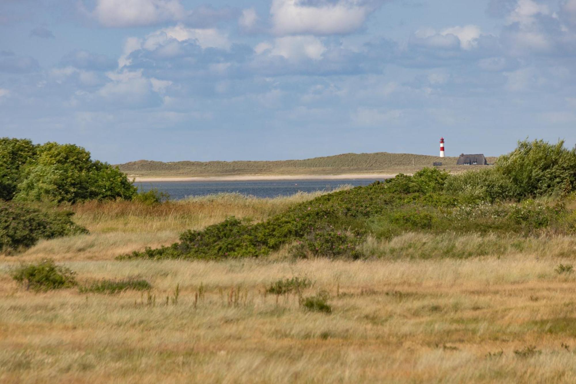 Möwe Ferienhaus List auf Sylt