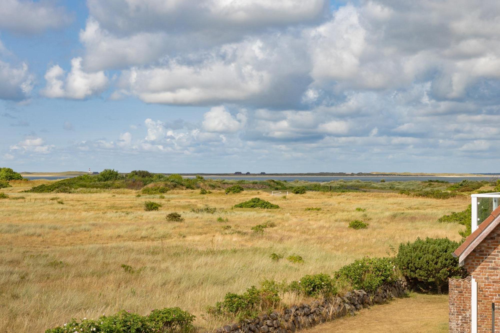 Möwe * List auf Sylt