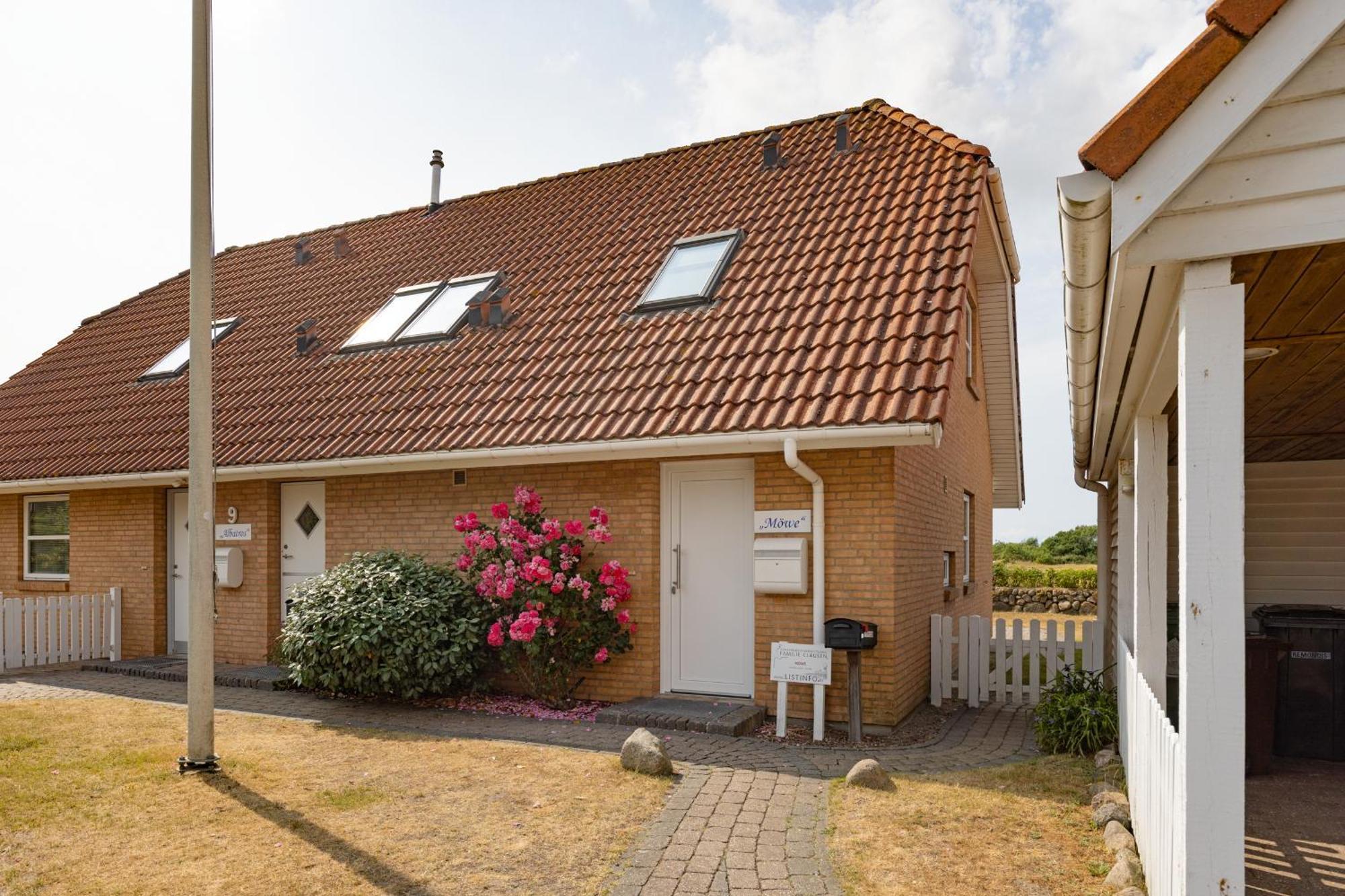 Möwe List auf Sylt